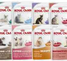 Храна за котки "Royal Kanin": композиция и рецензии