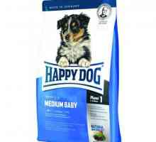 Хранене `Happy Dog` за кучета: преглед, състава и обратна връзка от ветеринарните…