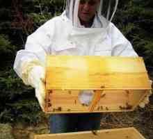 Хранилка за пчели (снимка)