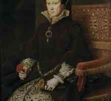 Кралицата на Англия Мария Блуди: биография, години на управление