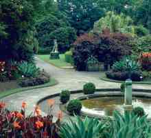 Кралската ботаническа градина (Сидни) е очарователен естествен оазис