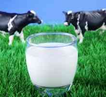Краве мляко: мазнина, полза и вреда