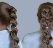 Една коса от опашки с еластични ленти е схема на тъкане. Прически с еластични ленти за дълга коса