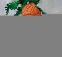 Морков костюм за момиче със собствените си ръце (снимка)