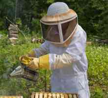 Костюми на пчеларите: Основни характеристики