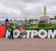 Кострома, Ден на града през 2017 г.