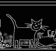 Котката Schrodinger е известен парадоксен експеримент