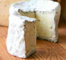 Козе сирене: полза и вреда, състав, рецепта