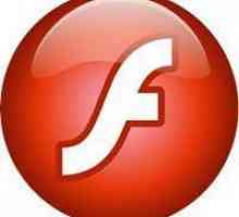 Adobe Flash Player: какво да правя?
