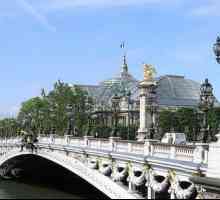 Най-красивият архитектурен паметник, наречен в чест на Александър 3, е мостът в Париж