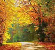 Красиви фрази за есента. Стихове и изказвания