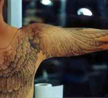 Красиви татуировки: крила на гърба