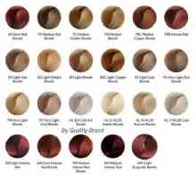 Боя за коса "Brilliance": палитра за всички вкусове