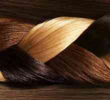 Боя за коса Capous: снимка, рецензии. Боя "Капус": палитрата (цветовете)