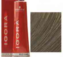 Боя за коса "Игор": ревюта на фризьорски салони, композиция, палитра и характеристики