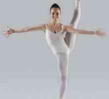 Красотата изисква жертвоприношение ... Краката на балерина като работещ инструмент