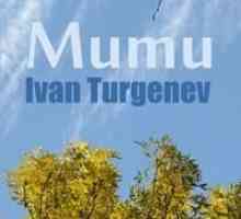 Резюме на IS "Муму" Тургенев