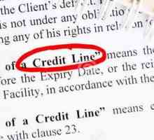 Кредитната линия е ... Видове и характеристики на кредитните линии