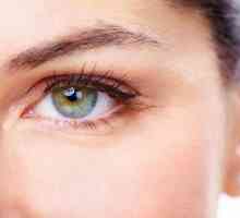 Крем за бръчки за очи: отзиви, преглед, съвети за избор