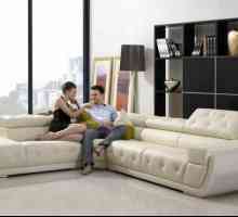 Критерии за избор на мека мебел: размерите на ъгловите дивани, материалите и механизмите на…