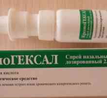 `Kromogeksal`, назален спрей: прегледи, описание и инструкции за употреба