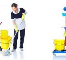 Най-големите компании в Москва за почистване са гарантите за чистотата в дома и офиса
