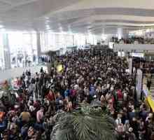 Големи и малки летища в Египет: Общ преглед