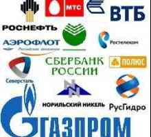 Големи предприятия от Русия. Индустриални предприятия на Русия