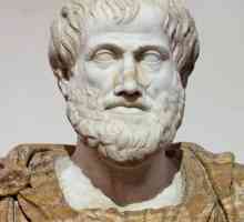 Кой е Аристотел? Какво е известно, биография, принос към науката
