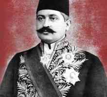 Кой е Талаат паша и кой го е убил?