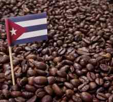Кубинско кафе: характеристики, предимства и популярни сортове