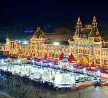 Къде да отидем в Москва на новогодишни празници с дете?