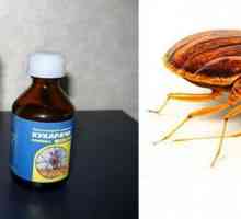 "Cucarach" от дървеници: рецензии и инструкции