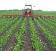 Култивирането е основният начин за отглеждане на почвата в селското стопанство