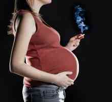 Пушенето по време на бременност - ефектът върху плода, последствията и препоръките на лекарите