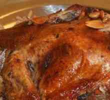 Пиле на арабски: най-добрите рецепти на Изтока