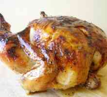 Пиле в aerogrill: рецепта за просто готвене