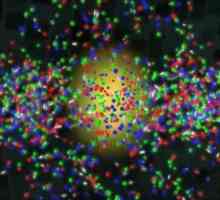 Куарк - това ли е частица? Научете от какво се състоят кварките. Коя частица е по-малка от кварка?