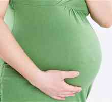 Зърнено зеле по време на бременност: какво съветва лекарят?