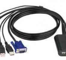 KVM ключ за 2 компютъра (USB, HDMI, DVI, PS / 2, VGA конектори): принцип на работа, характеристики…