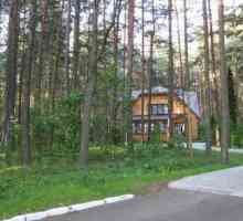 "Лъки парк", къща в Новосибирск: снимка, описание, обзор
