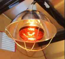 Лампа за отопление за пилета. Оборудване за месопреработка