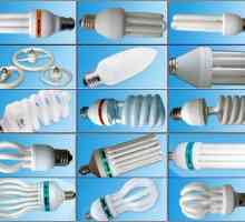 Енергоспестяващи лампи - осъществимост на покупката