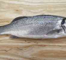 Лаврах - деликатесна риба: описание, начин на живот, култивация и рецепти