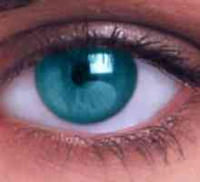 Корекция на зрението при лазер: предимствата и недостатъците на операцията