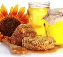 Лечебен слънчогледов мед - подарък от природата