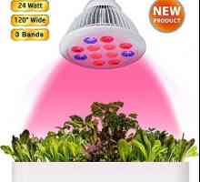 LED-лампа за растенията: видове, функции. Как да направите фитоламп със собствените си ръце