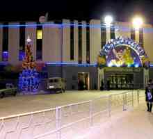 Ice Palace (Мурманск) - центърът на развлекателния и спортен живот на града