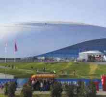 Ice Palace Sochi `Big`: описание на това как да стигнете дотам