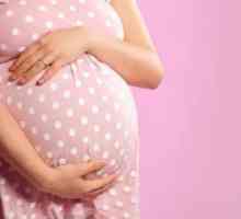 Левкоцитите са повишени по време на бременност в кръвта и урината. Причини и последствия